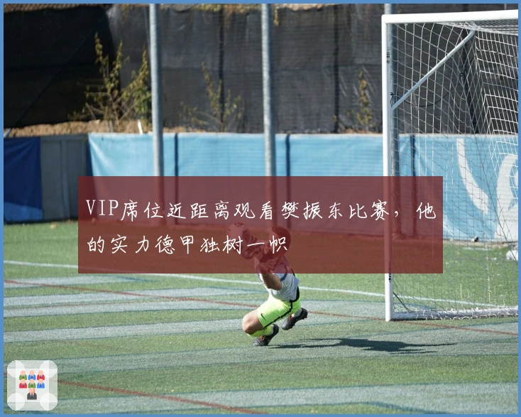 VIP席位近距离观看樊振东比赛，他的实力德甲独树一帜