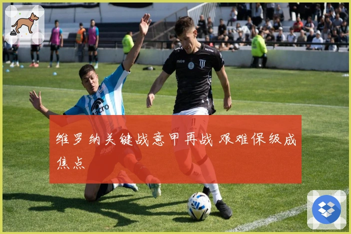 维罗纳关键战意甲再战 艰难保级成焦点